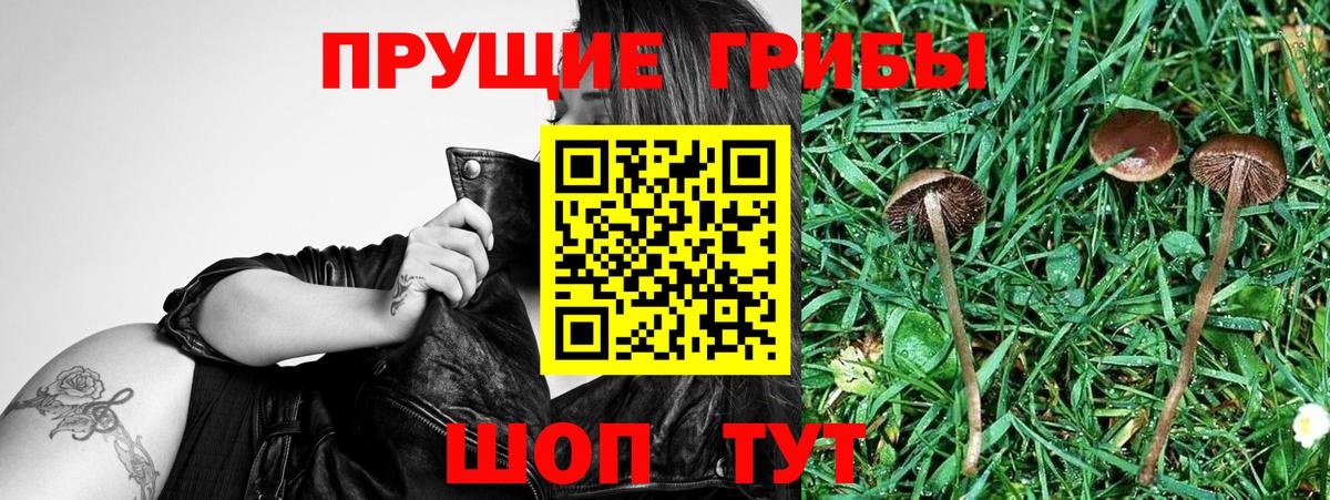 Галлюциногенные грибы ЛСД  Вход с VPN  как найти   Гулькевичи 